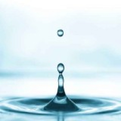 行业动态（6月10日至6月17日）